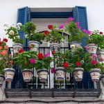 বারান্দায় বাগান: অল্প জায়গায় সবুজের ছোঁয়া